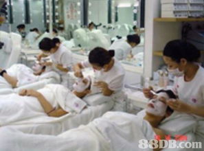 愛妮美容專業培訓學院 提供發型設計課程 美甲課程 特效化妝課程等服務